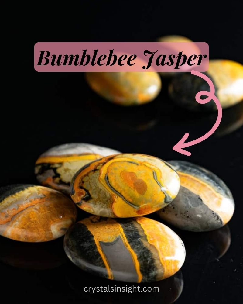 Bumblebee Jasper