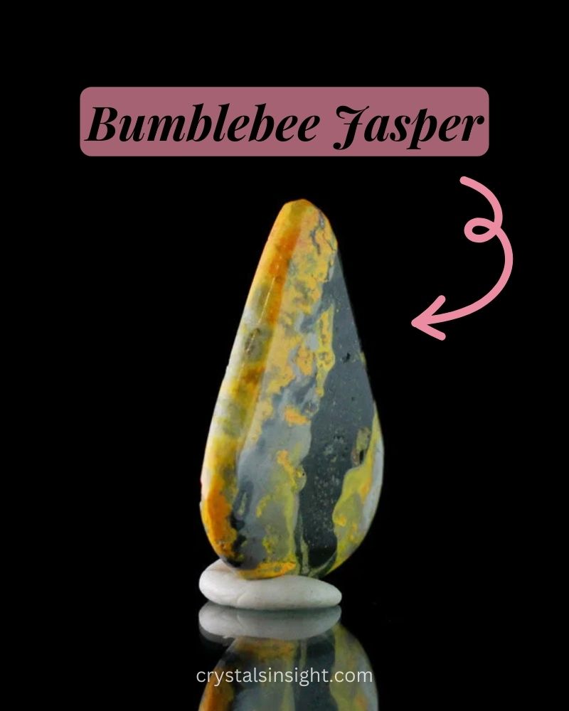 Bumblebee Jasper